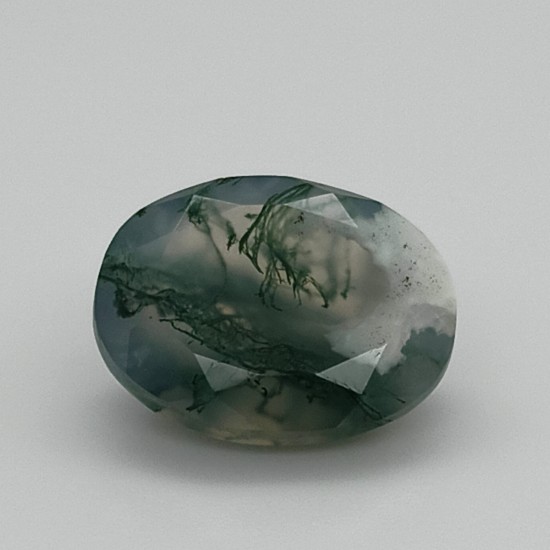 Tree Agate  6.8 Ct Best Quality 